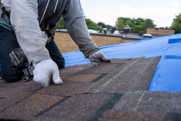 Best Commercial Roofing Services  in Mlstadt, IL