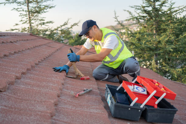 Best Emergency Roof Repair  in Mlstadt, IL